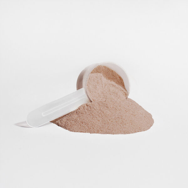 Plant Protein Chocolate 21g Protein, Muscle Recovery, Weight Management, And Digestive Support - Image 2