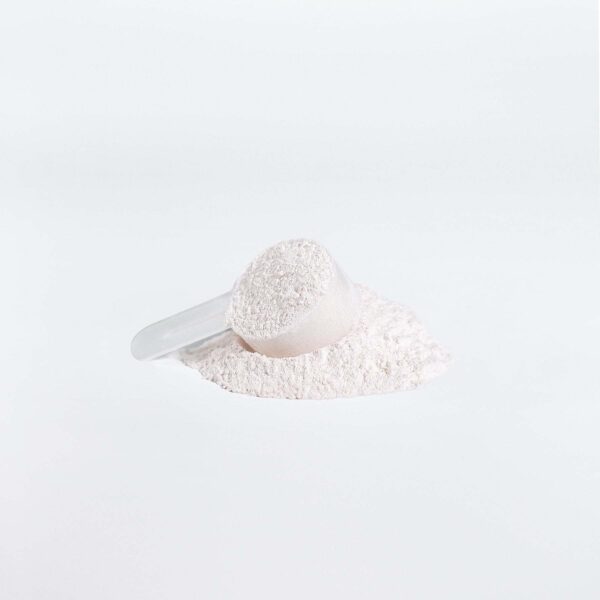 BCAA Shock Powder Fuel Muscle Growth, Enhance Recovery Boost Performance - Image 2